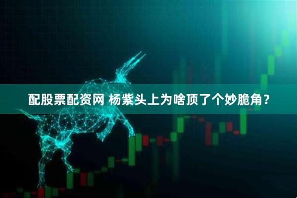 配股票配资网 杨紫头上为啥顶了个妙脆角？