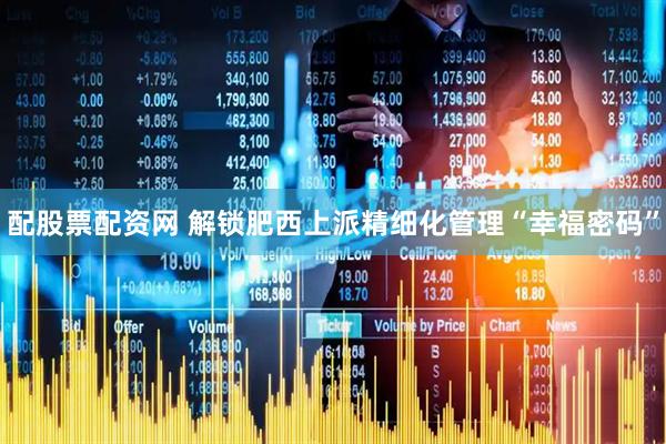 配股票配资网 解锁肥西上派精细化管理“幸福密码”
