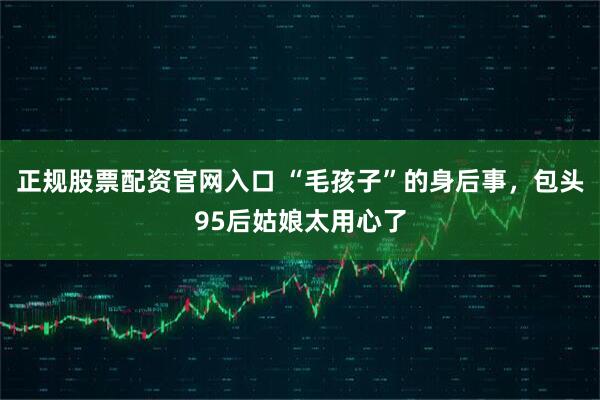 正规股票配资官网入口 “毛孩子”的身后事，包头95后姑娘太用心了